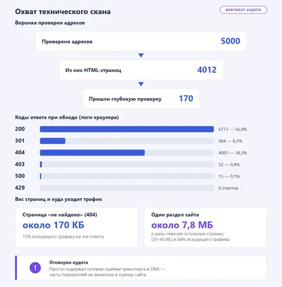 Фрагмент аудита: воронка проверки адресов, коды ответа сервера, вес «тяжёлой» страницы и доля исходящего трафика, с оговоркой о сетевых ошибках.
